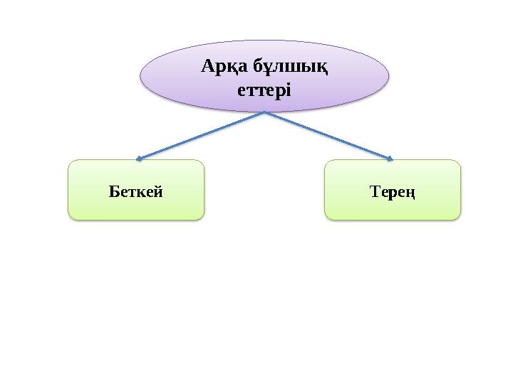 Арқа бұлшық еттері Беткей Терең
