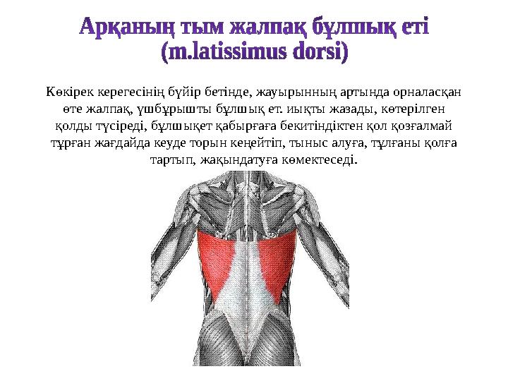 Көшеде жұлқынып жатқан адамдардың бейнелері