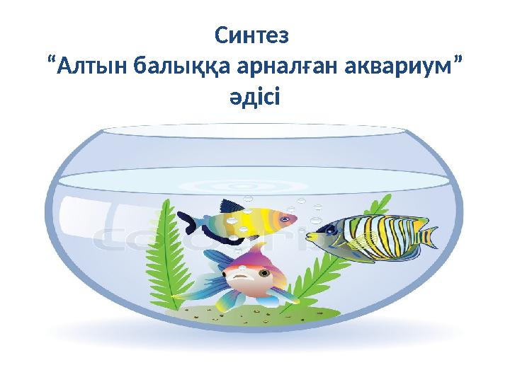 Синтез “Алтын балыққа арналған аквариум” әдісі