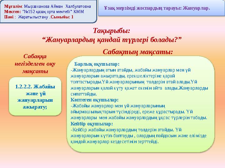 Траннилерді жоғары сапалы порнодан қараңыз