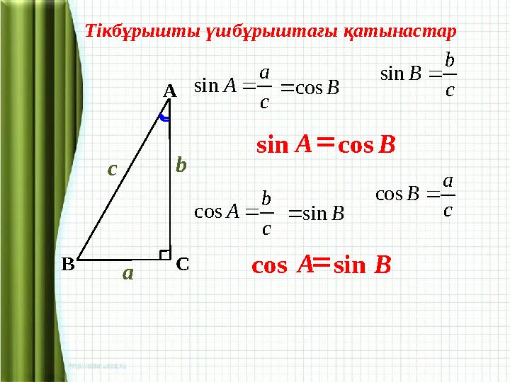 c a А  sin c b А  cos c b B  sin c a B  cos B cos  B sin А СВ c a b cossin  BA s incos  B AТікбұрышты үшбұрышт