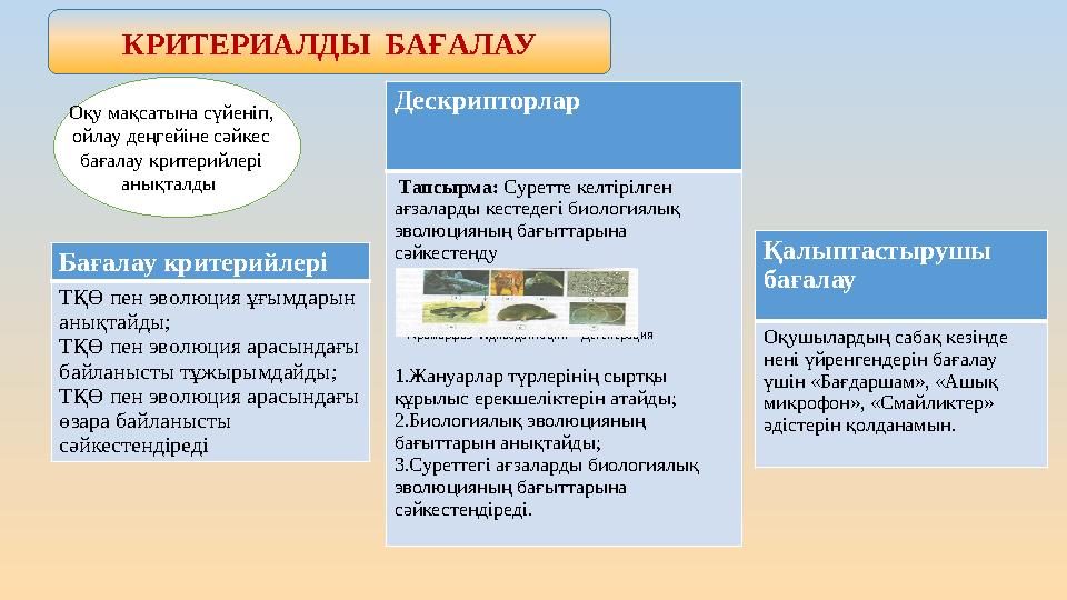 КРИТЕРИАЛДЫ БАҒАЛАУ Бағалау критерийлері ТҚӨ пен эволюция ұғымдарын анықтайды; ТҚӨ пен эволюция арасындағы байланысты тұжырым