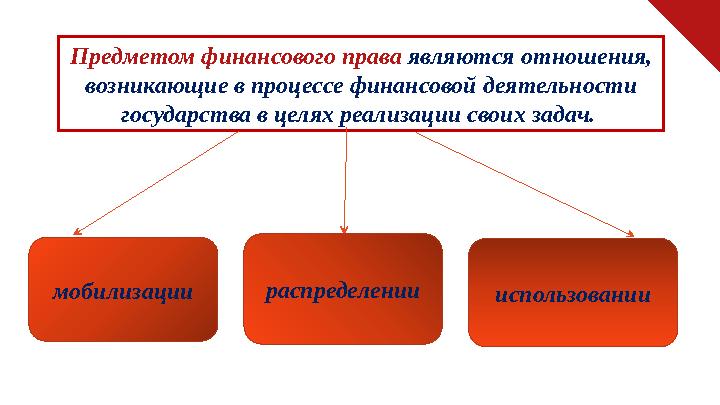 Предметом финансового права являются отношения, возникающие в процессе финансовой деятельности государства в целях реализации