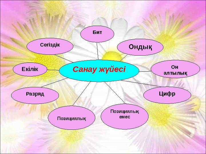Санау жүйесіЕкілік Сегіздік Бит Разряд Ондық Он алтылық Позициялық Позициялық емес Цифр