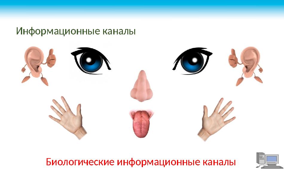 Информационные каналы Биологические информационные каналы