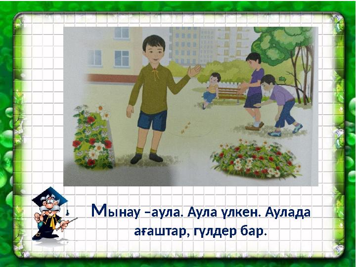 М ынау –аула. Аула үлкен. Аулада ағаштар, гүлдер бар.