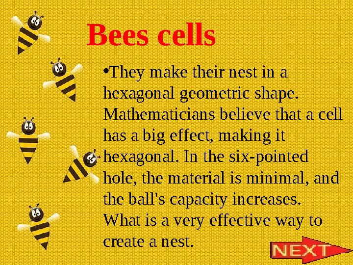 Bees cells • They make their nest in a hexagonal geometric shape. Mathematicians believe that a cell has a big effect, makin