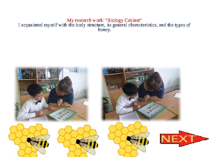 My research work: "Biology Cabinet" I acquainted myself with the body structure, its general characteristics, and the types of