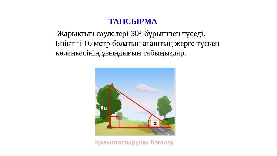 Жарықтың сәулелері 30 0 бұрышпен түседі. Биіктігі 16 метр болатын ағаштың жерге түскен көлеңкесінің ұзындығын табыңыздар.