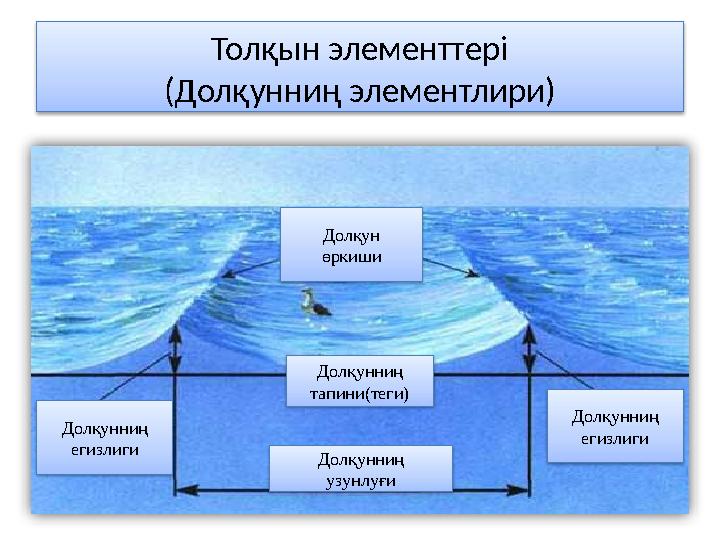 Толқын элементтері (Долқунниң элементлири) Долқун өркиши Долқунниң егизлиги Долқун ниң тапини(теги) Долқун ниң узунлуғи Долқунн