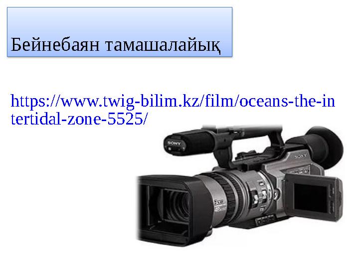 Бейнебаян тамашалайық https://www.twig-bilim.kz/film/oceans-the-in tertidal-zone-5525/