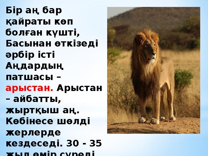 Бір аң бар қайраты көп болған күшті, Басынан өткізеді әрбір істі Аңдардың патшасы – арыстан. Арыстан – айбатты, жыртқы