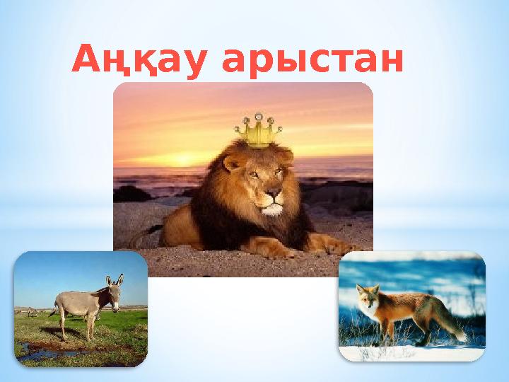 Аңқау арыстан