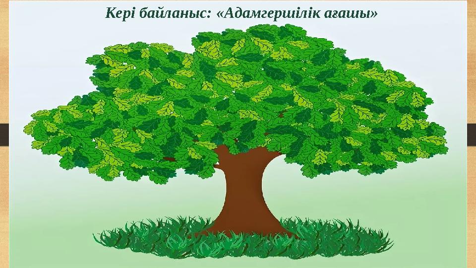 Кері байланыс: «Адамгершілік ағашы»