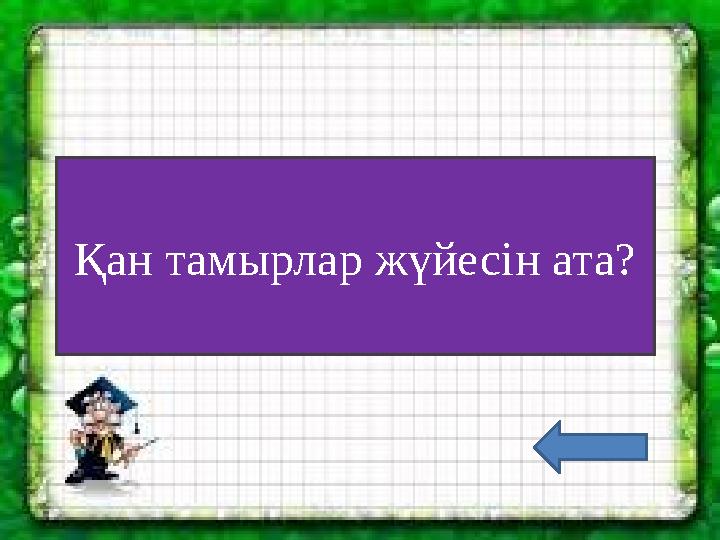 Қан тамырлар жүйесін ата?