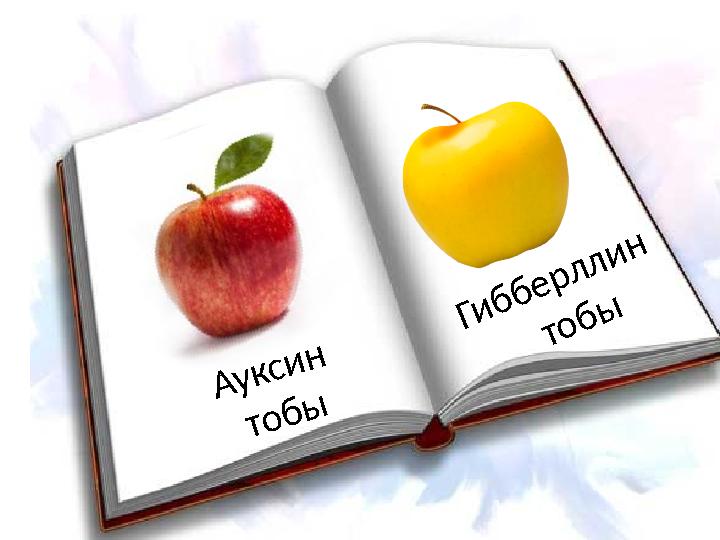 А у к с и н т о б ы Г и б б е р л л и н т о б ы