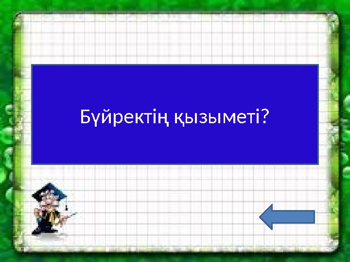 Бүйректің қызыметі?