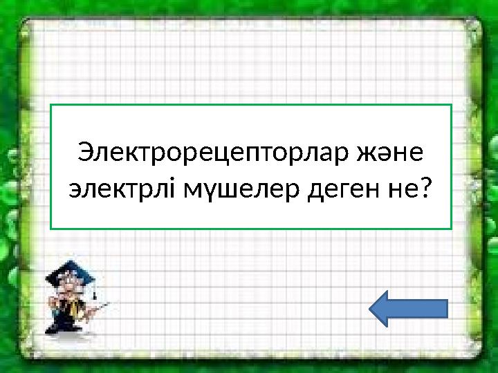 Электрорецепторлар және электрлі мүшелер деген не?