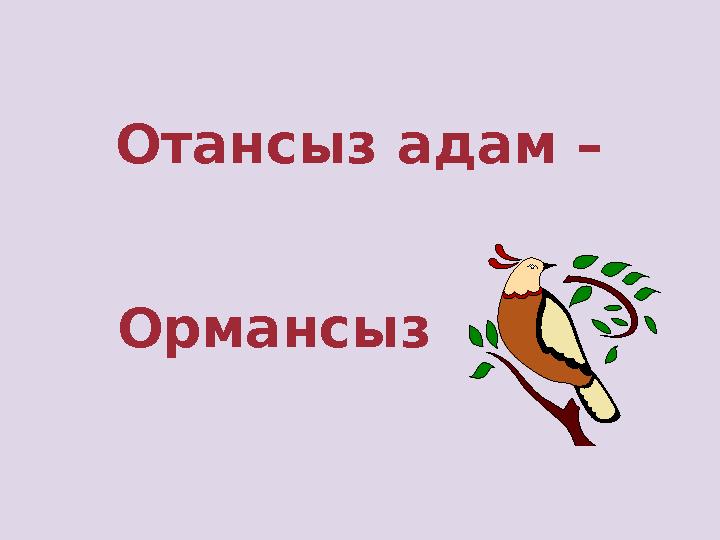 Отансыз адам – Ормансыз