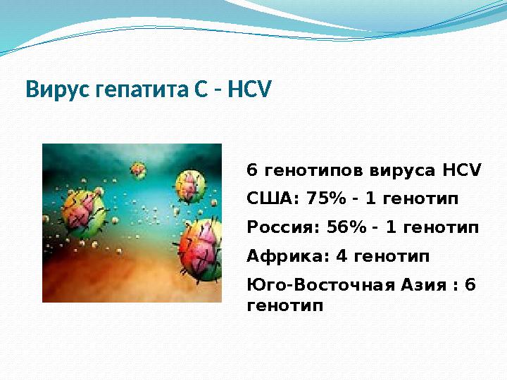 6 генотипов вируса HCV США: 75% - 1 генотип Россия: 56% - 1 генотип Африка: 4 генотип Юго-Восточная Азия : 6 генотипВирус гепат