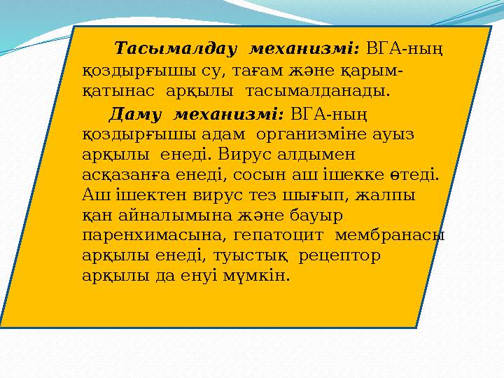 Тасымалдау ме x анизмі: ВГА-ның қоздырғышы су, тағам және қарым- қатынас арқылы тасымалданады. Даму ме x а