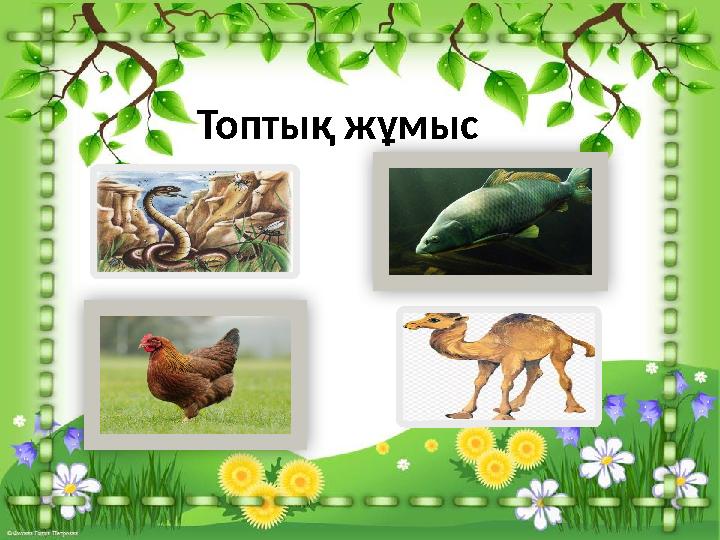 Топтық жұмыс