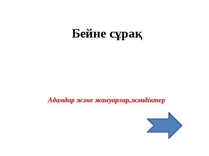 Бейне сұрақ Адамдар және жануарлар,жәндіктер