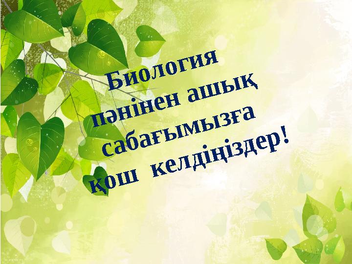 Ұрғашы есек пен мысықтың құрылымы