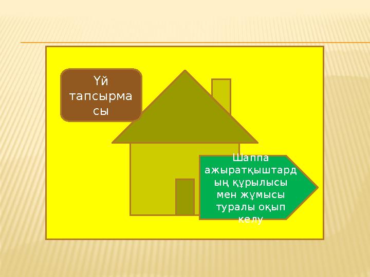 Үй тапсырма сы Шаппа ажыратқыштард ың құрылысы мен жұмысы туралы оқып келу