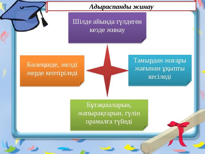 Шілде айында гүлдеген кезде жинау Көлеңкеде, желді жерде кептіріледі Тамырдан жоғары жағынан ұқыпты кесіледі Бұтақшаларын,