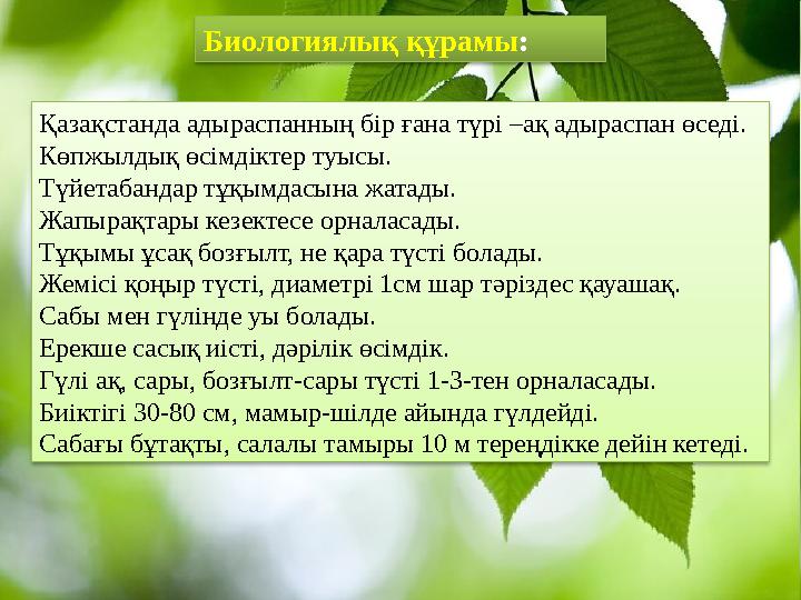 Биологиялық құрамы : Қазақстанда адыраспанның бір ғана түрі –ақ адыраспан өседі. Көпжылдық өсімдіктер туысы. Түйетабандар тұқымд