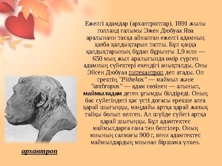 Ежелгі адамдар (архантроптар). 1891 жылы голланд ғалымы Эжен Дюбуаа Ява аралынанн тасқа айналған ежелгі адамның қазба қалдықт