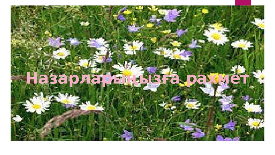 Назарларыңызға рахмет