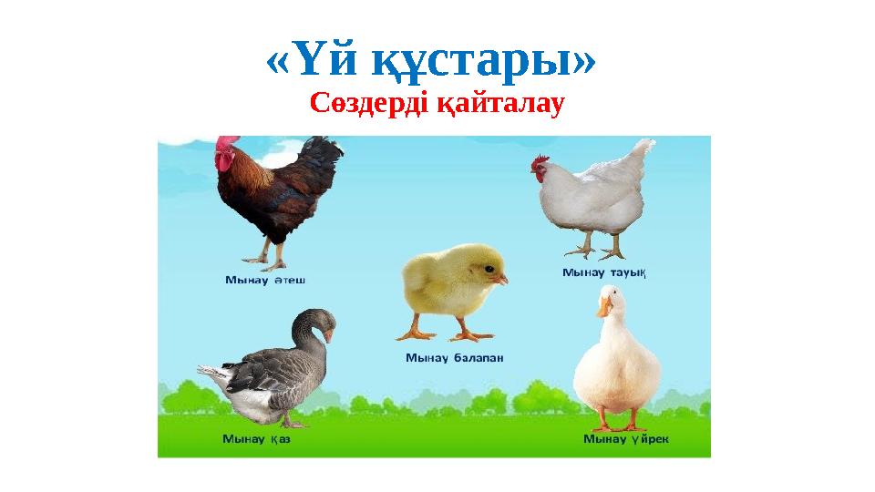 Үшеуміз бір төсекке жаттық.