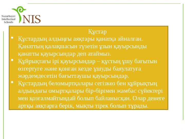 Құстар  Құстардың алдыңғы аяқтары қанатқа айналған. Қанаттың қалақшасын түзетін ұзын қауырсынды қанатты қауырсындар деп атайм