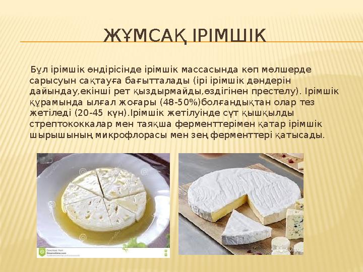 Ірі тесіктері бар ірімшік түрі