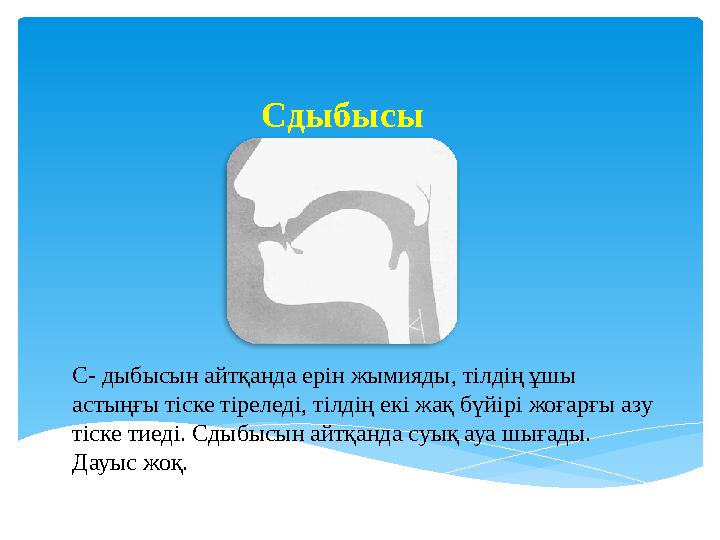 Сдыбысы С- дыбысын айтқанда ерін жымияды, тілдің ұшы астыңғы тіске тіреледі, тілдің екі жақ бүйірі жоғарғы азу тіске тиеді. Сд