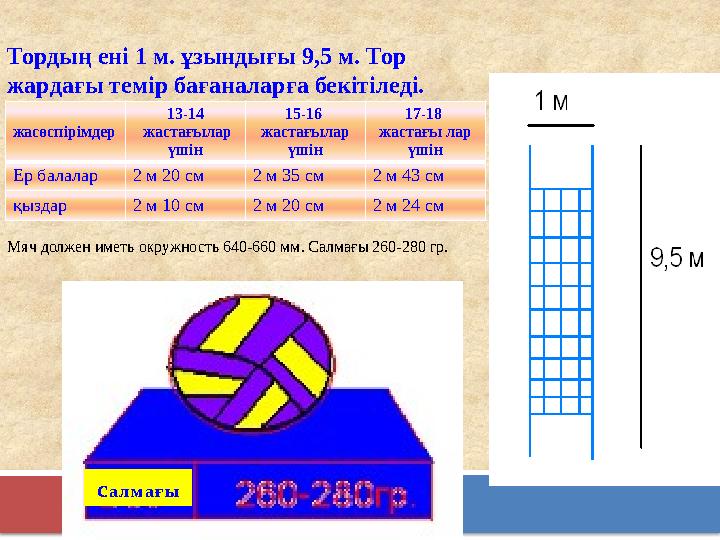 Тордың ені 1 м. ұзындығы 9,5 м. Тор жардағы темір бағаналарға бекітіледі. Мяч должен иметь окружность 640-660 мм. Салмағы 260-2