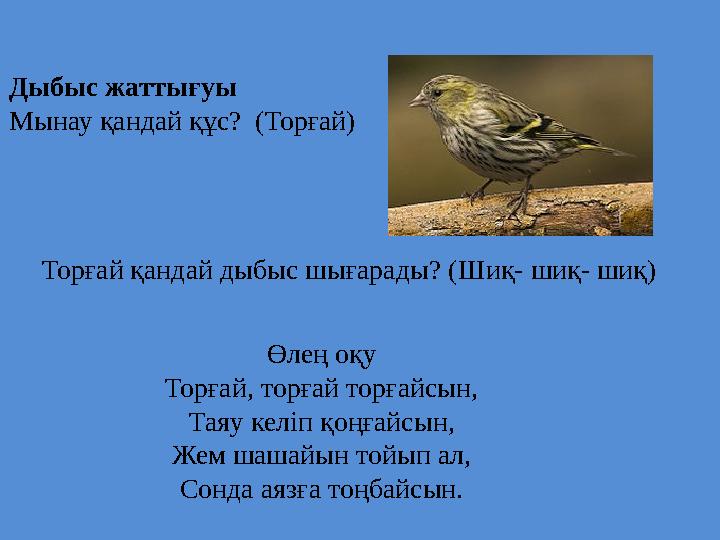 Дыбыс жаттығуы Мынау қандай құс? (Торғай) Торғай қандай дыбыс шығарады? (Шиқ- шиқ- шиқ) Өлең оқу Торғай, торғай торғайсын, Таяу