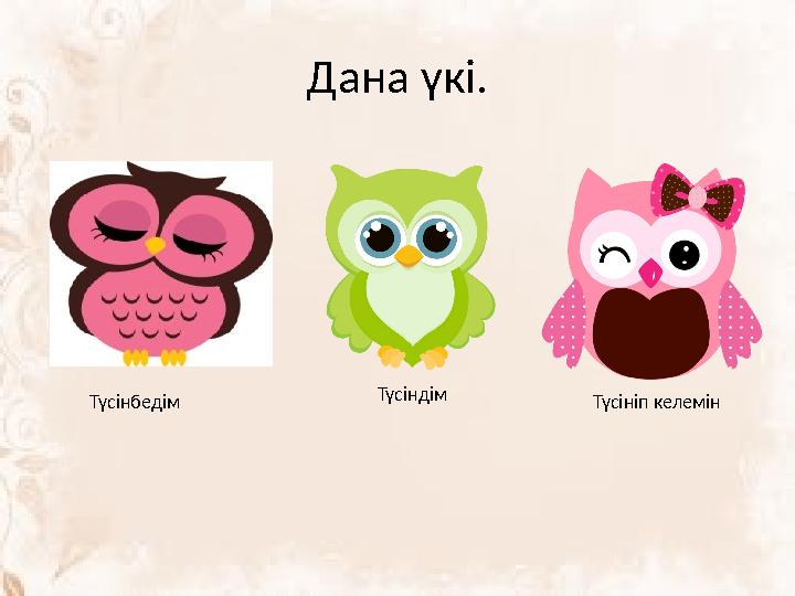 Дана үкі. Түсіндім Түсінбедім Түсініп келемін