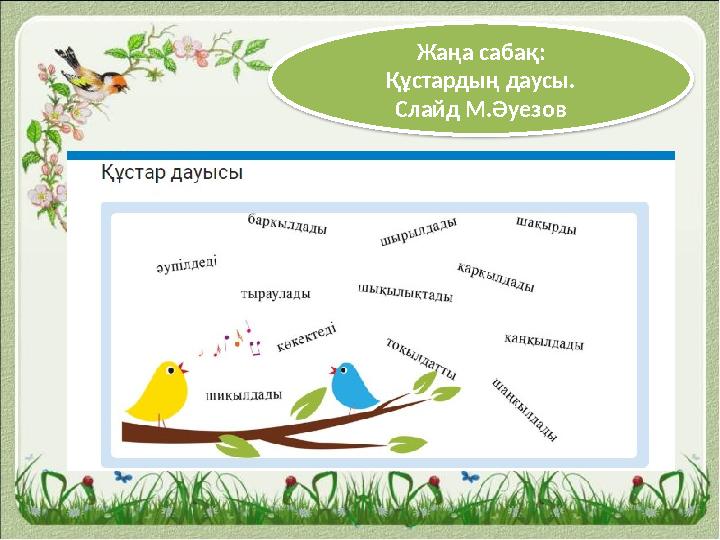 Жаңа сабақ: Құстардың даусы. Слайд М.Әуезов