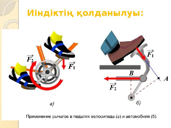 Иіндіктің қолданылуы: