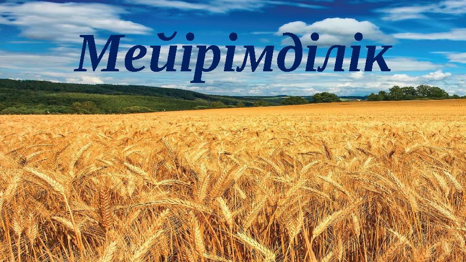 Мейірімділік