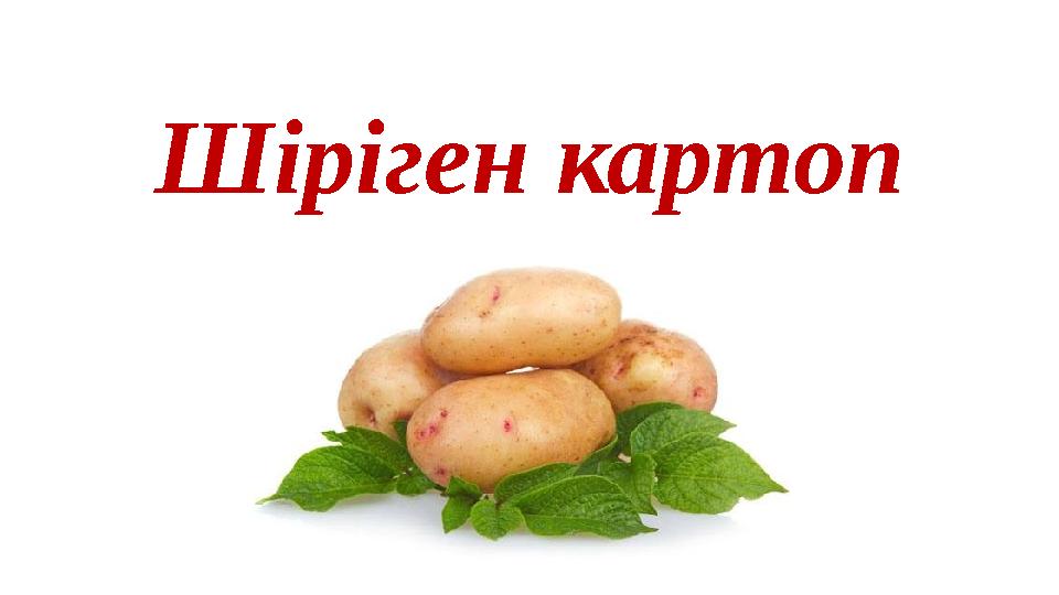 Шіріген картоп