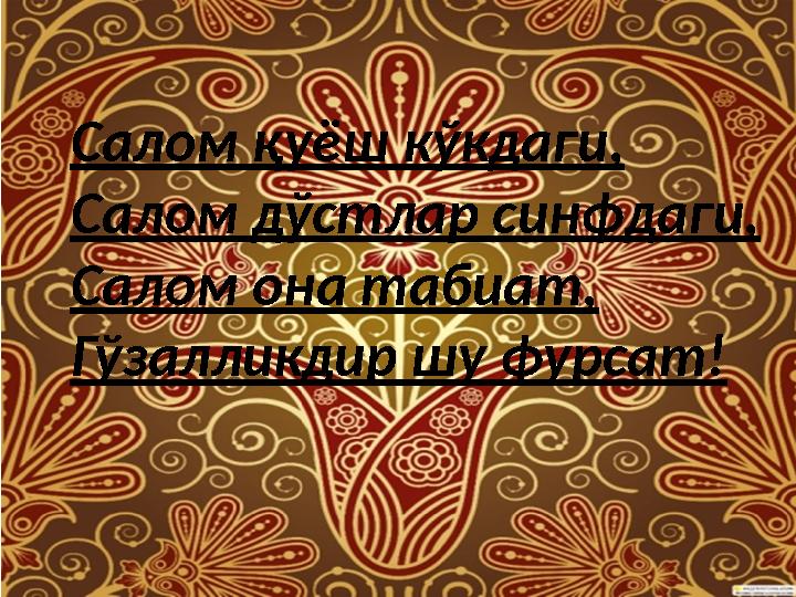 Салом қуёш кўкдаги, Салом дўстлар синфдаги, Салом она табиат, Гўзалликдир шу фурсат!