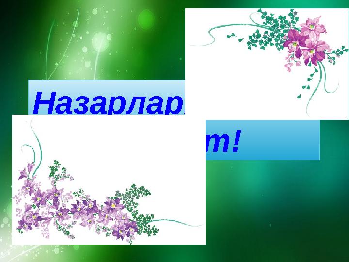 Назарларыңызға рахмет!