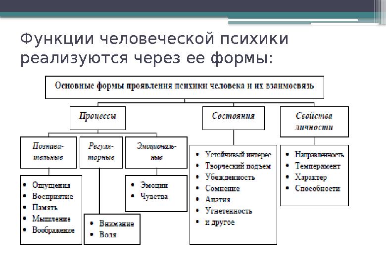 Функции человеческой психики реализуются через ее формы: