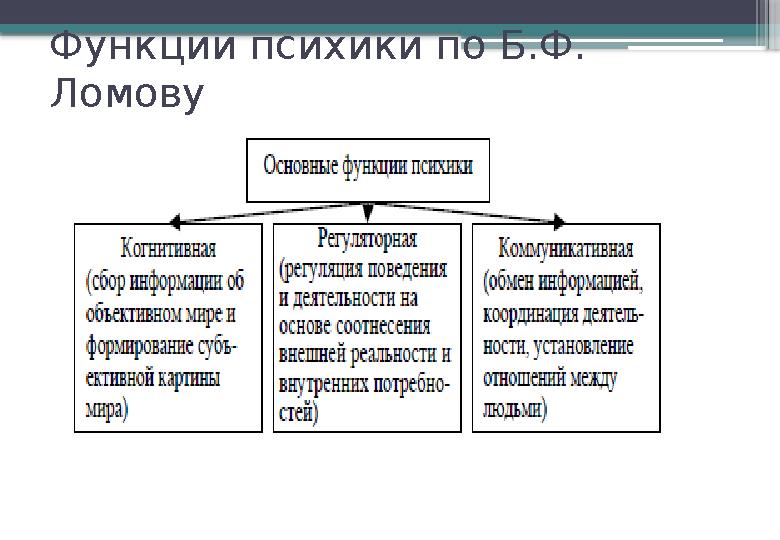 Функции психики по Б.Ф. Ломову