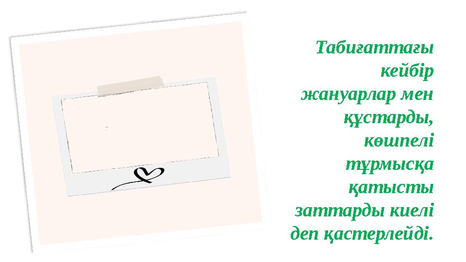 Табиғаттағы кейбір жануарлар мен құстарды, көшпелі тұрмысқа қатысты заттарды киелі деп қастерлейді.