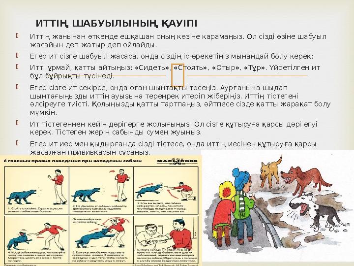  ИТТІҢ ШАБУЫЛЫНЫҢ ҚАУІПІ  Иттің жанынан өткенде ешқашан оның көзіне карамаңыз. Ол сізді өзіне шабуыл жасайын деп жатыр